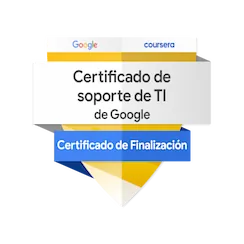Google IT Support